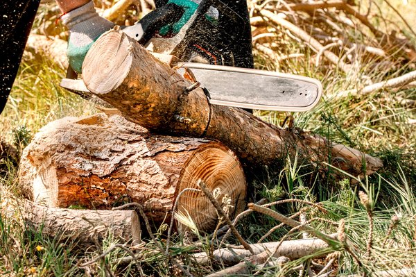 La scie à bûches uxon : l'outil indispensable pour les bûcherons