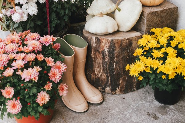 Éco design : 5 astuces pour une décoration écologique réussie