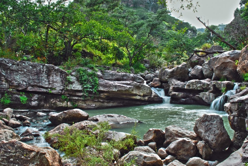 piscine naturelle