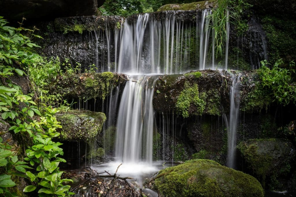 piscine naturelle