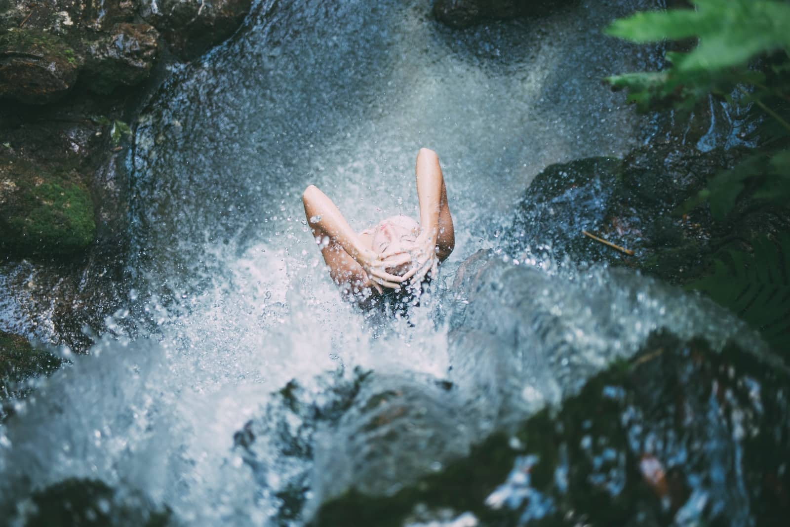 piscine naturelle