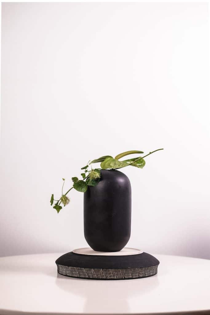 vase